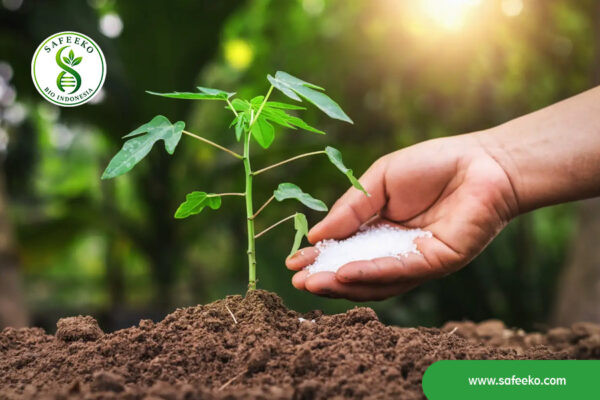 Biofertilizers-and-Sustainable-Soil-Management