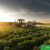 Build-a-More-Sustainable-Future-for-Your-Farm