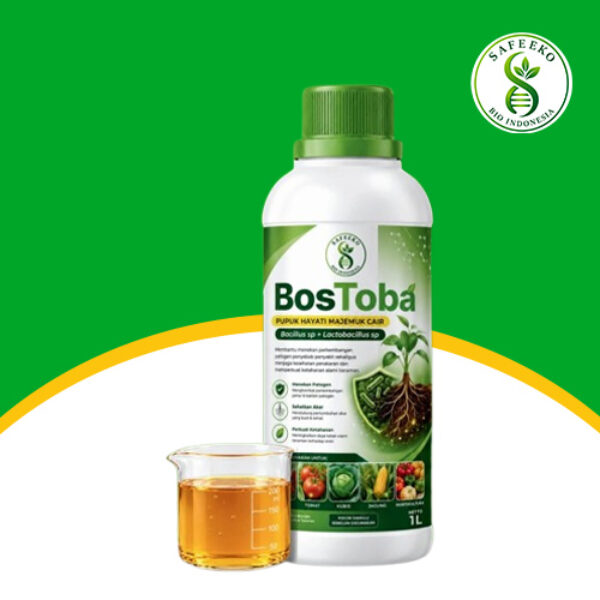 BosToba