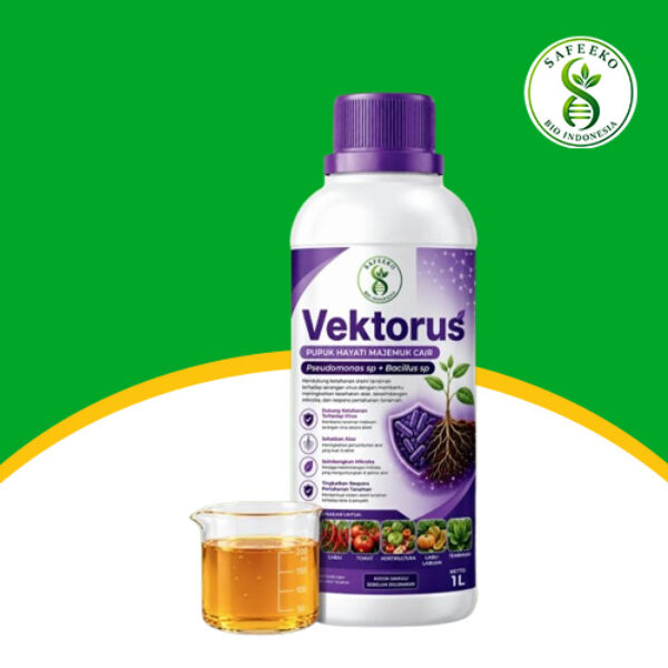 Vektorus